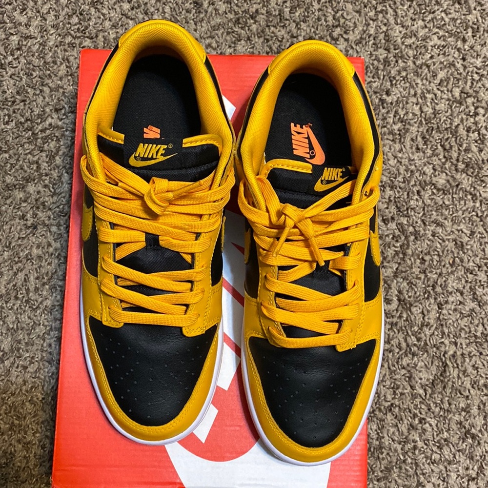 Nike dunk low retro